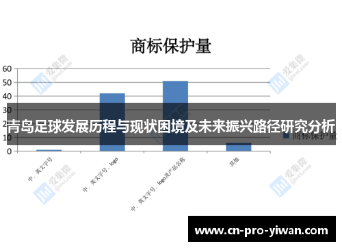 青岛足球发展历程与现状困境及未来振兴路径研究分析 青岛足球发展历程与现状困境及未来振兴路径研究分析